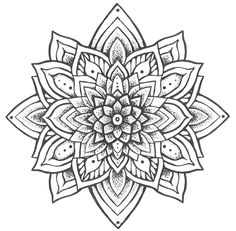 a black and white drawing of a flower