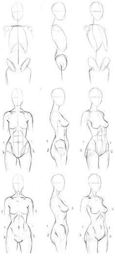 how to draw the human figure from different angles and body shapes, step by step