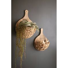 two wooden spoons with plants in them hanging on the wall next to each other