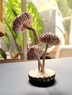 three small mushrooms on a table in front of a window