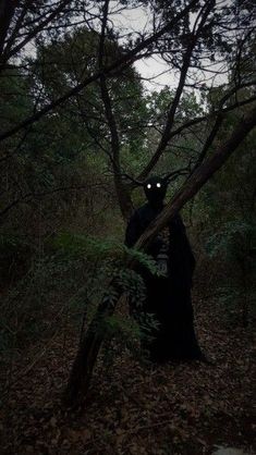 a person in a dark forest with trees and leaves on the ground, wearing a black mask