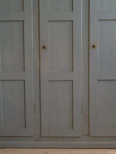 a cat sitting on top of a wooden floor next to two white cupboards with doors