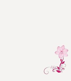 a pink flower on a white background with swirls and leaves in the corner,