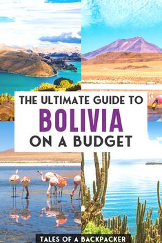 the ultimate guide to bolivia on a budget, with images of flamingos and mountains