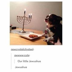 a dog sitting at a table with a plate of food and a menorah