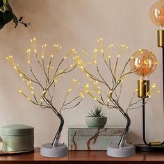 three small trees with lights in them on a table next to a potted plant