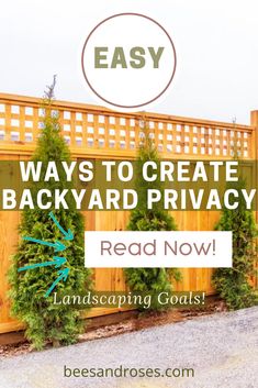 a backyard privacy fence with the words easy ways to create backyard privacy read now