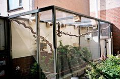 a building that has some plants inside of it and birds on the wire attached to the wall