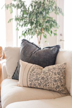 a white couch with pillows and a potted plant in the corner on top of it