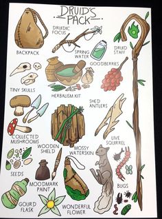 a poster with many things on it that include mushrooms, leaves and other things to eat