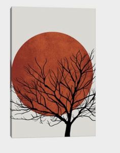 a tree with no leaves in front of a red sun