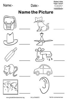 the worksheet for name the pictures