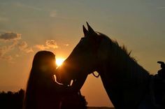 the silhouette of a horse and its rider as the sun is setting in the background