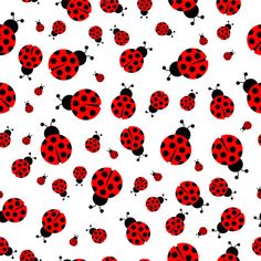 red ladybugs on white background seamless pattern stock photo and royalty free image black bedroom furniture sets home design ideas