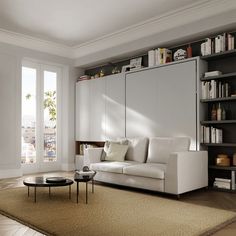 a living room with white furniture and bookshelves