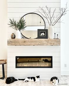 two black and white cats laying on the floor in front of a fireplace with a mirror above it