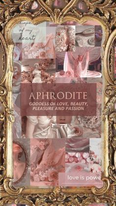 an ornate gold frame with pink and white pictures on it, the words aphrodite