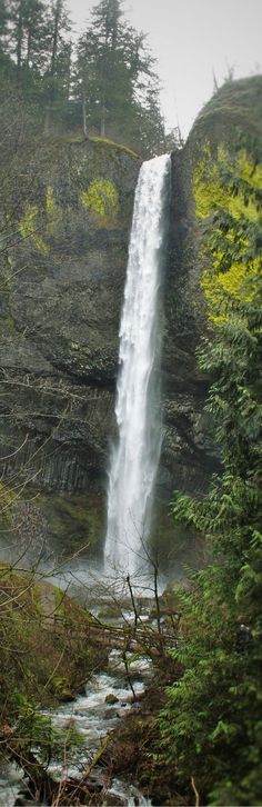 a large waterfall in the middle of a forest