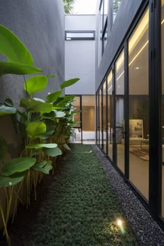 an outdoor area with grass and plants next to a building that has glass doors on both sides