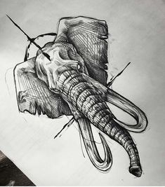 an elephant's head is drawn in black and white with sharp lines on paper