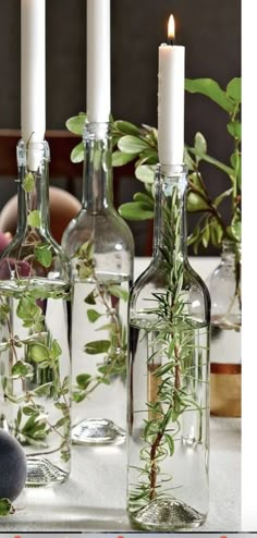 three glass bottles with plants in them on a table next to some rocks and candles