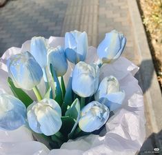 a bunch of blue and white tulips in a paper bag on the sidewalk