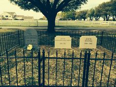 two headstones are placed in the middle of a fenced area near a tree