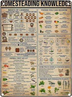 a poster with some words and pictures on the side of it that says, homesteading knowledce