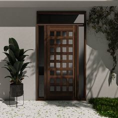 a potted plant sitting next to a wooden door