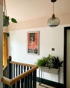 there is a potted plant on the stair railing in this houseplant filled entryway