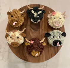 Highland Cow Cupcakes, Mini Cattle, Cow Cupcakes, Cow Baby Showers, 3 Year Anniversary, Cowboy Baby Shower