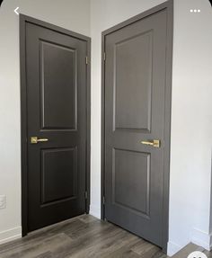 two black doors with gold handles in a white room