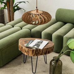 a living room with green couches and a wooden table in the middle, surrounded by plants