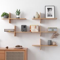 some shelves are arranged on the wall with plants and other things in them as well