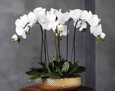 white orchids are in a gold vase on a table