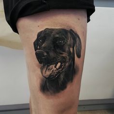 a black dog with its tongue out is on the leg and it's head is shown