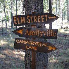 wooden signs pointing in different directions on a tree at the edge of a wooded area