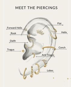 an ear diagram with the names of different parts in each part, including the words meet the piercings