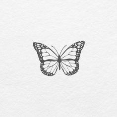 a black and white drawing of a butterfly