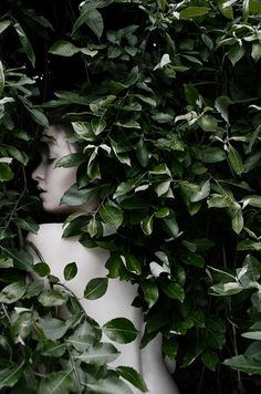 a woman's head is surrounded by green leaves in the dark, with her face obscured by foliage