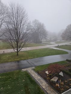 an empty street in the middle of a park on a foggy, overcast day