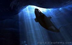 an underwater photo of a shark swimming in the ocean