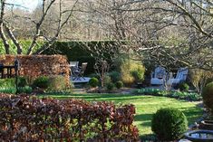 a garden with lots of trees and bushes