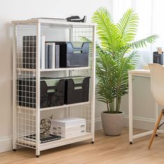 a white book shelf sitting next to a potted plant on top of a hard wood floor