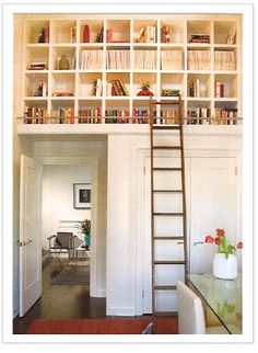 there is a ladder in front of the bookshelf