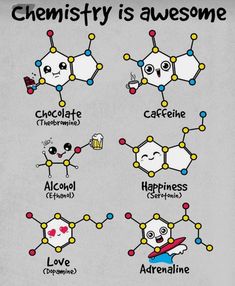 an image of the different types of chemicals that are labeled in their respective words