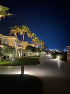 an empty street lined with palm trees at night