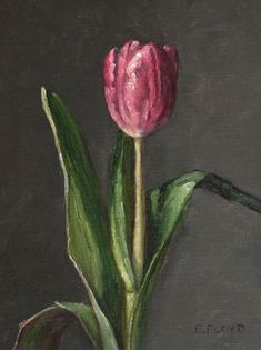 a painting of a pink tulip in a vase on a gray background with green leaves