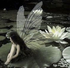 a fairy sitting on top of lily pads