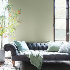 a living room with a couch, potted plant and large window in it's corner